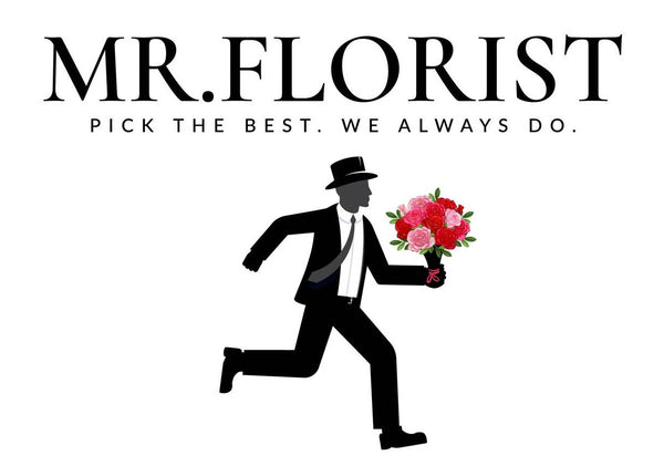 Mr Florist